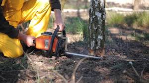 Best Lawn Grading and Leveling  in Frewsburg, NY